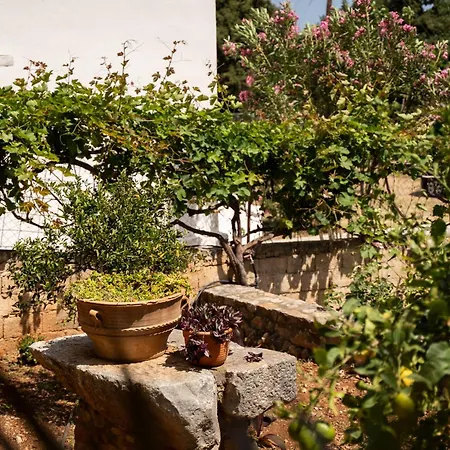 Artemisa House * Agia Roumeli