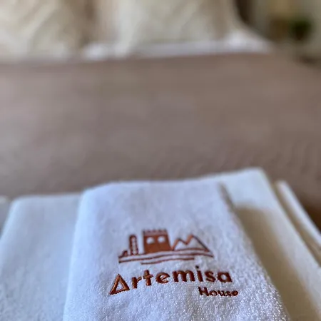 Artemisa House *